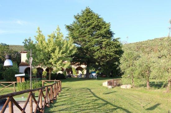 Agriturismo San Valentino Амелія Екстер'єр фото